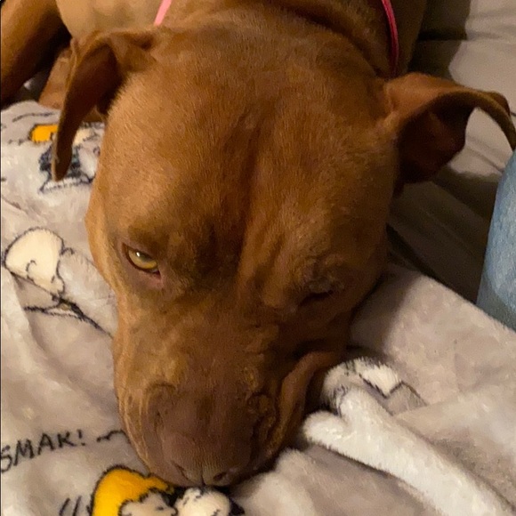 Meet your Posher, Kerri - Picture 1 of 1